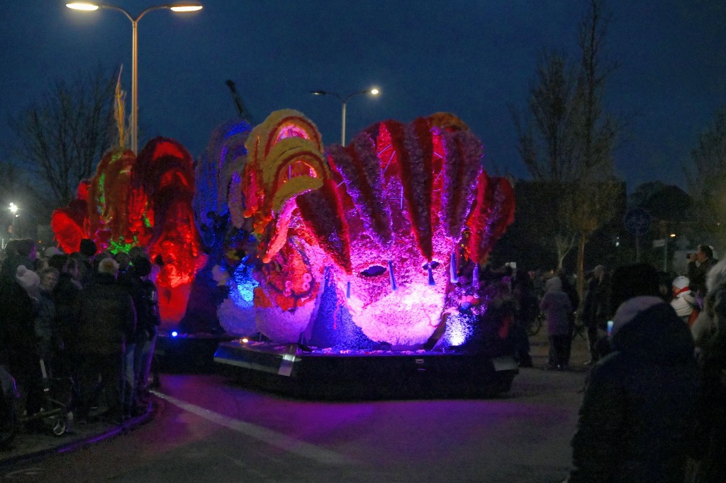 ../Images/Verlicht bloemencorso 2024 039.jpg